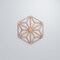 Ekena Millwork Medium Hampton Decorative Fretwork Wood Wall Panels, Cherry, 15 3/8"W x 17 3/4"H x 3/8"T WALW16X16X0375HMPCH - alternate 3